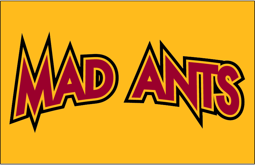 Fort Wayne Mad Ants 2006-2017 Jersey Logo v2 iron on transfers for clothing